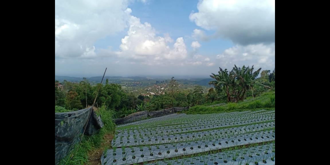 Tanah Idaman Dataran Tinggi Kemuning Ngargoyoso Karanganyar Telp/WA: 082327612345 Tanah Idaman Dataran Tinggi Kemuning Ngargoyoso Karanganyar Telp/WA: 082327612345