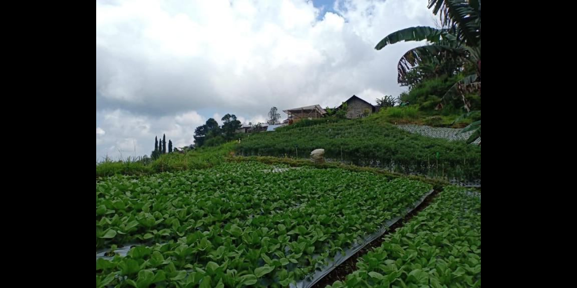 Tanah Idaman Dataran Tinggi Kemuning Ngargoyoso Karanganyar Telp/WA: 082327612345 Tanah Idaman Dataran Tinggi Kemuning Ngargoyoso Karanganyar Telp/WA: 082327612345