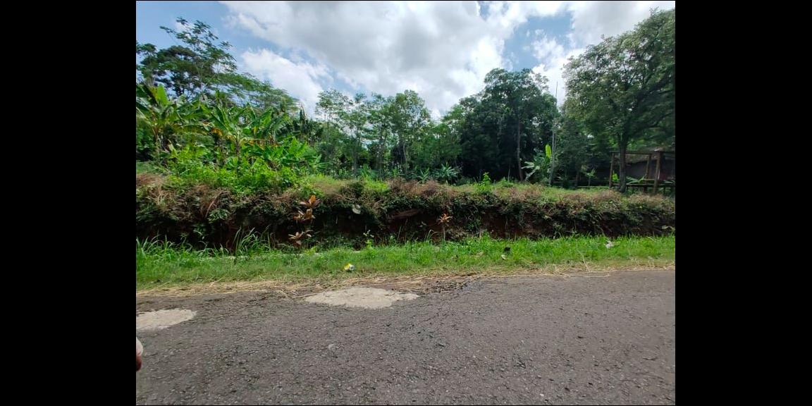 Tanah Strategis 1,1 Ha Tepi Jl. Raya Mojogedang-Karangpandan Kra Tanah Strategis 1,1 Ha Tepi Jl. Raya Mojogedang-Karangpandan Kra