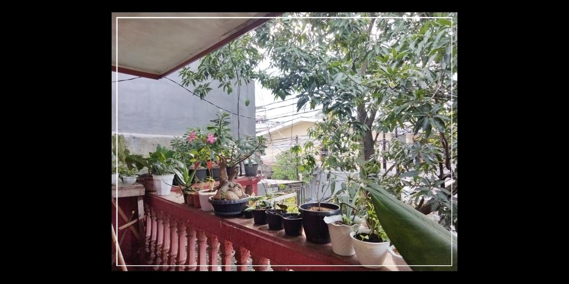 Dijual Rumah Lokasi Radio Dalam Jakarta Selatan Dijual Rumah Lokasi Radio Dalam Jakarta Selatan