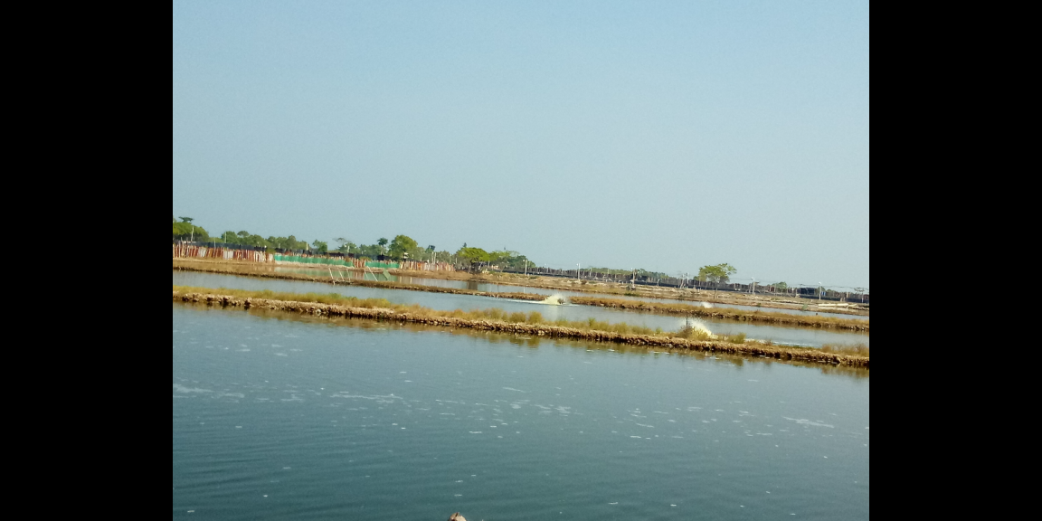 Jual tanah dan Tambak di Pantai blebak jepara Jual tanah dan Tambak di Pantai blebak jepara