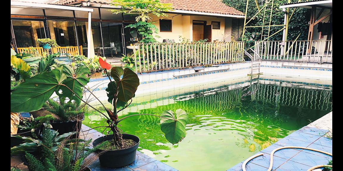 RUMAH MODERN-CLASSIC DENGAN KOLAM RENANG DI SUKAHAJI PASTEUR BANDUNG RUMAH MODERN-CLASSIC DENGAN KOLAM RENANG DI SUKAHAJI PASTEUR BANDUNG