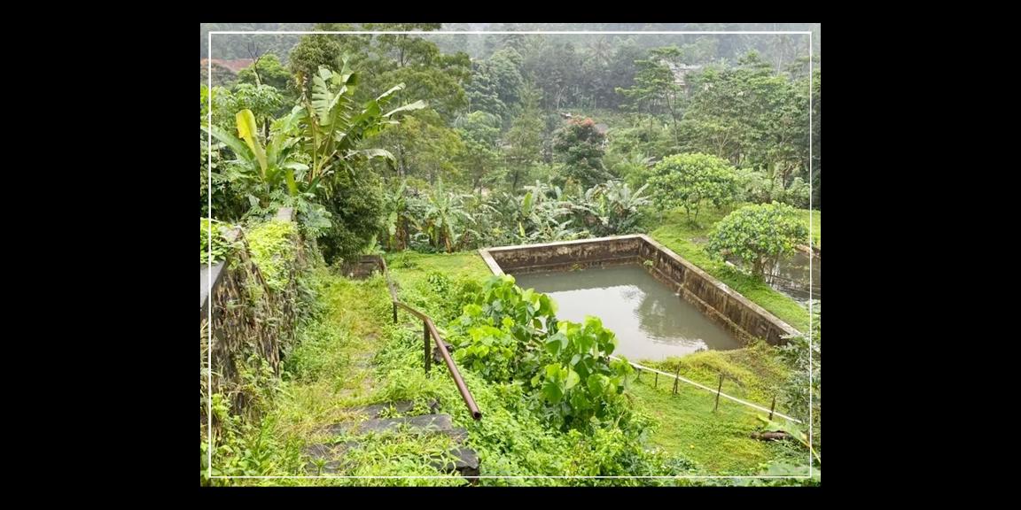 TEMPAT PENGINAPAN (VILLA & BUNGALOW) Udara Puncak Nan Sejuk TEMPAT PENGINAPAN (VILLA & BUNGALOW) Udara Puncak Nan Sejuk