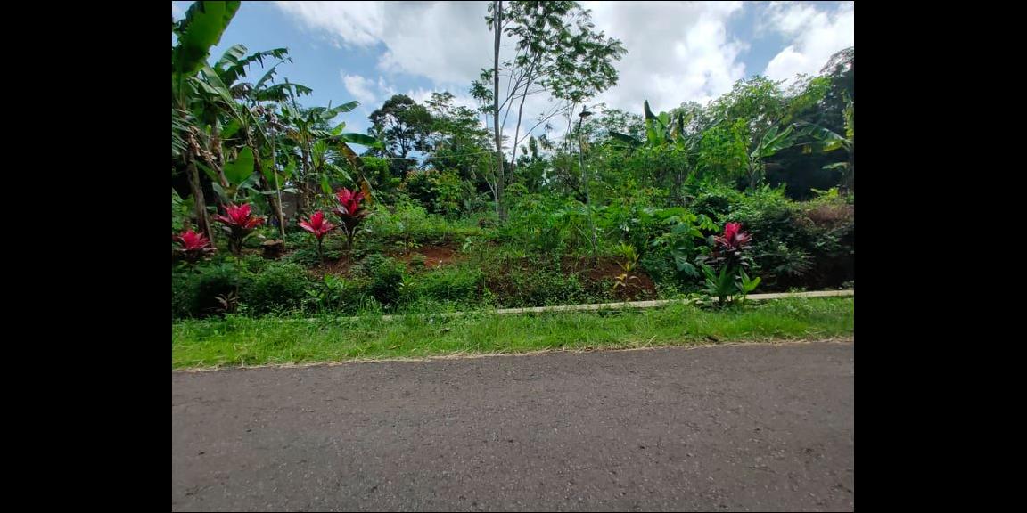 Tanah Strategis 1,1 Ha Tepi Jl. Raya Mojogedang-Karangpandan Kra Tanah Strategis 1,1 Ha Tepi Jl. Raya Mojogedang-Karangpandan Kra