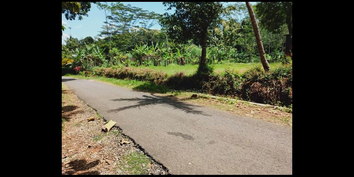 Tanah Strategis 1,1 Ha Tepi Jl. Raya Mojogedang-Karangpandan Kra Tanah Strategis 1,1 Ha Tepi Jl. Raya Mojogedang-Karangpandan Kra