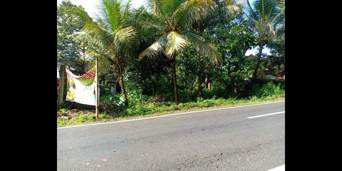 Tanah Strategis Buka Usaha Tepi Jl. Raya Kerjo Karanganyar Tanah Strategis Buka Usaha Tepi Jl. Raya Kerjo Karanganyar