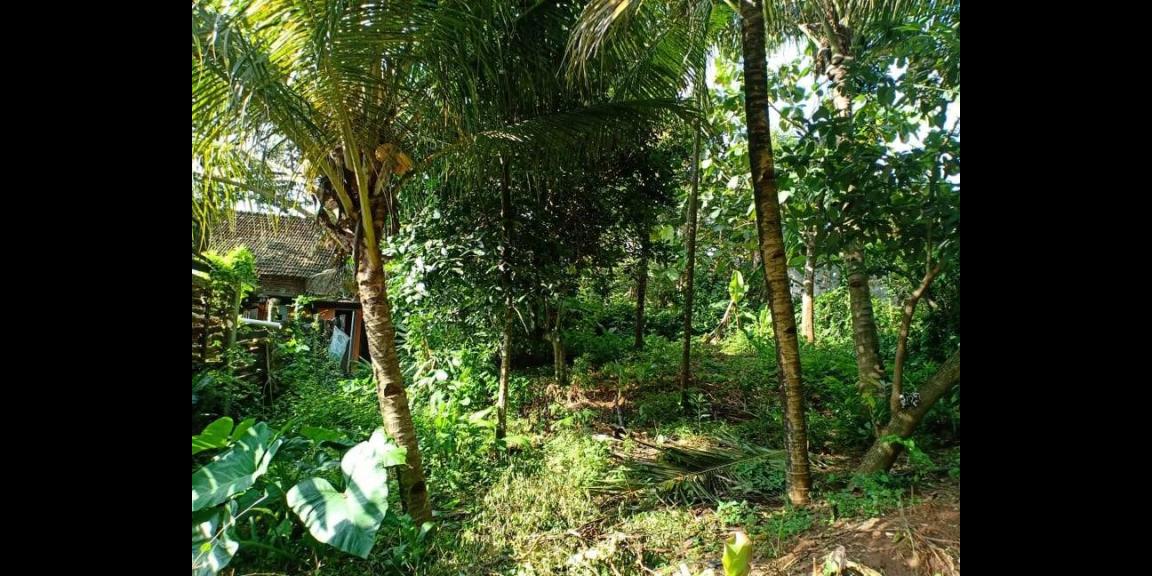 Tanah Strategis Buka Usaha Tepi Jl. Raya Kerjo Karanganyar Tanah Strategis Buka Usaha Tepi Jl. Raya Kerjo Karanganyar