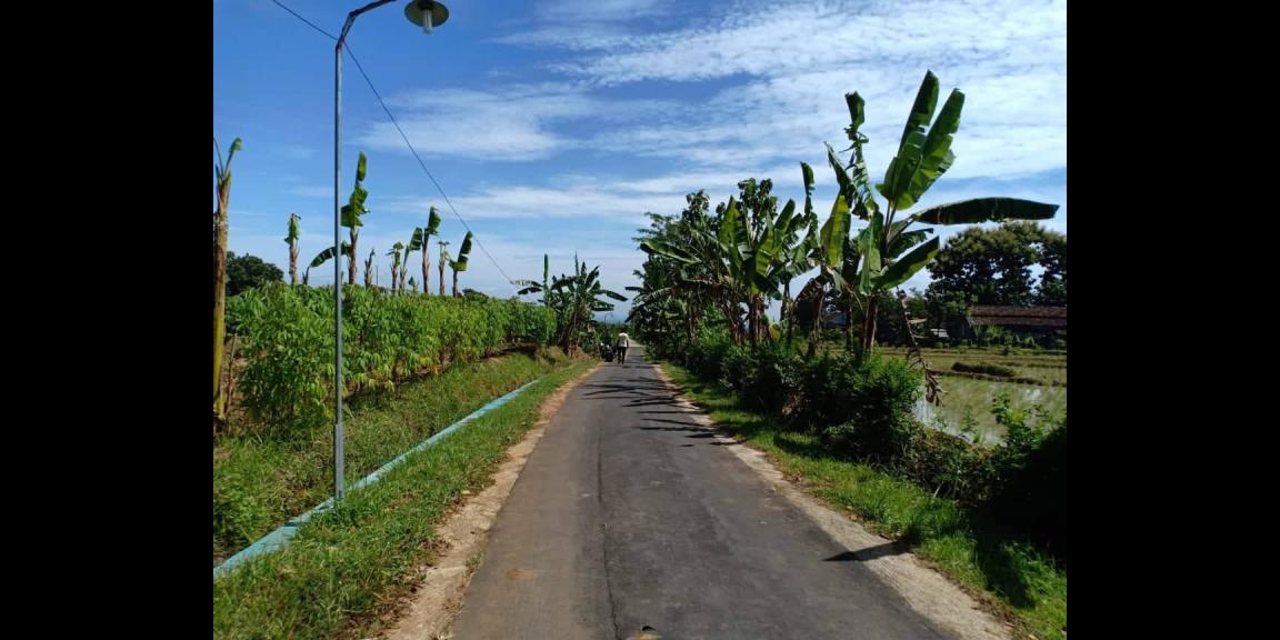 Tanah Sawah Strategis Dataran Tinggi Kerjo Karanganyar Tanah Sawah Strategis Dataran Tinggi Kerjo Karanganyar