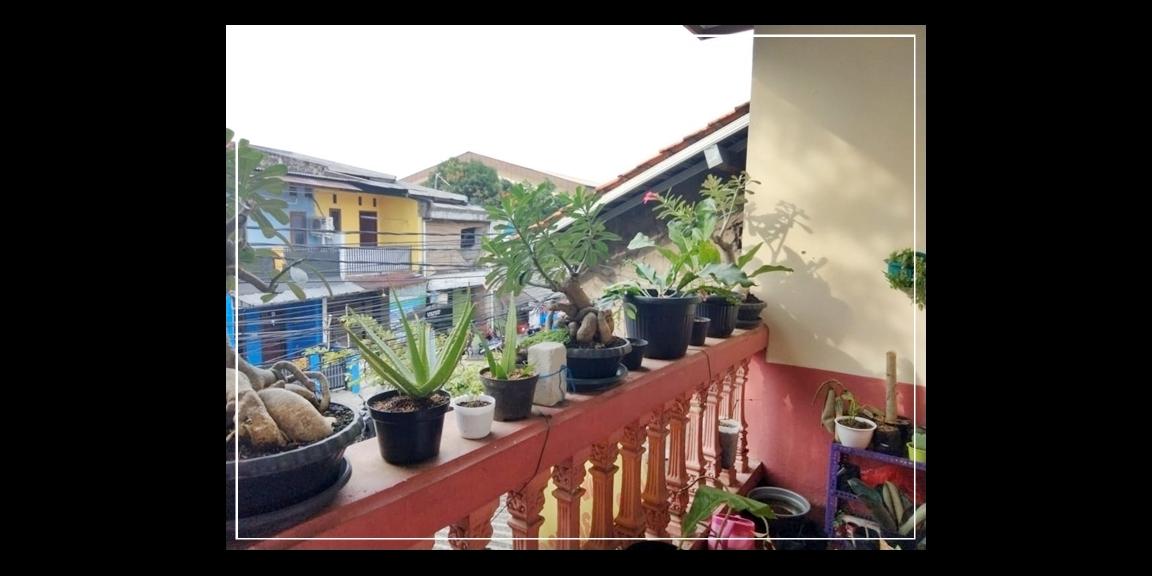 Dijual Rumah Lokasi Radio Dalam Jakarta Selatan Dijual Rumah Lokasi Radio Dalam Jakarta Selatan