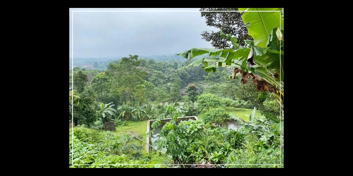 TEMPAT PENGINAPAN (VILLA & BUNGALOW) Udara Puncak Nan Sejuk TEMPAT PENGINAPAN (VILLA & BUNGALOW) Udara Puncak Nan Sejuk