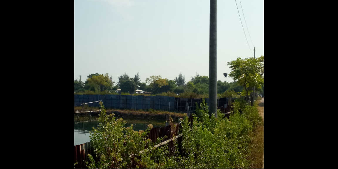 Jual tanah dan Tambak di Pantai blebak jepara Jual tanah dan Tambak di Pantai blebak jepara