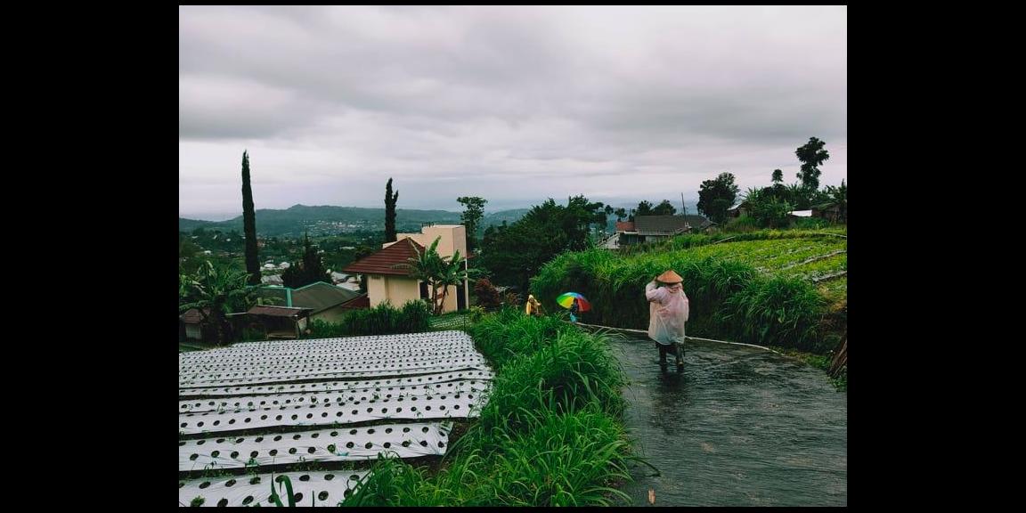 Rumah Vila Siap Huni Kawasan Wisata Alam Kemuning Karanganyar Rumah Vila Siap Huni Kawasan Wisata Alam Kemuning Karanganyar
