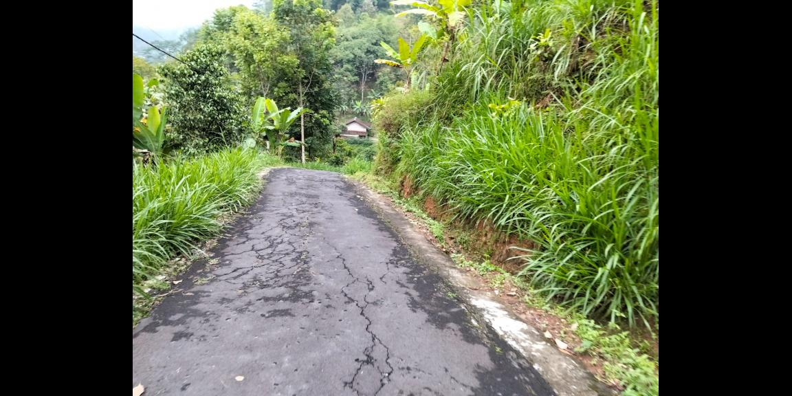 Tanah 90 Juta Udara Dingin Ngargoyoso  Tanah 90 Juta Udara Dingin Ngargoyoso