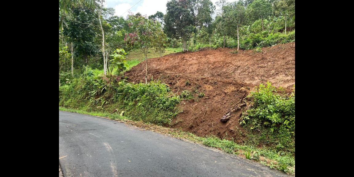 Kebun Alpukat 1200m Jalan DPU Ngargoyoso  Kebun Alpukat 1200m Jalan DPU Ngargoyoso
