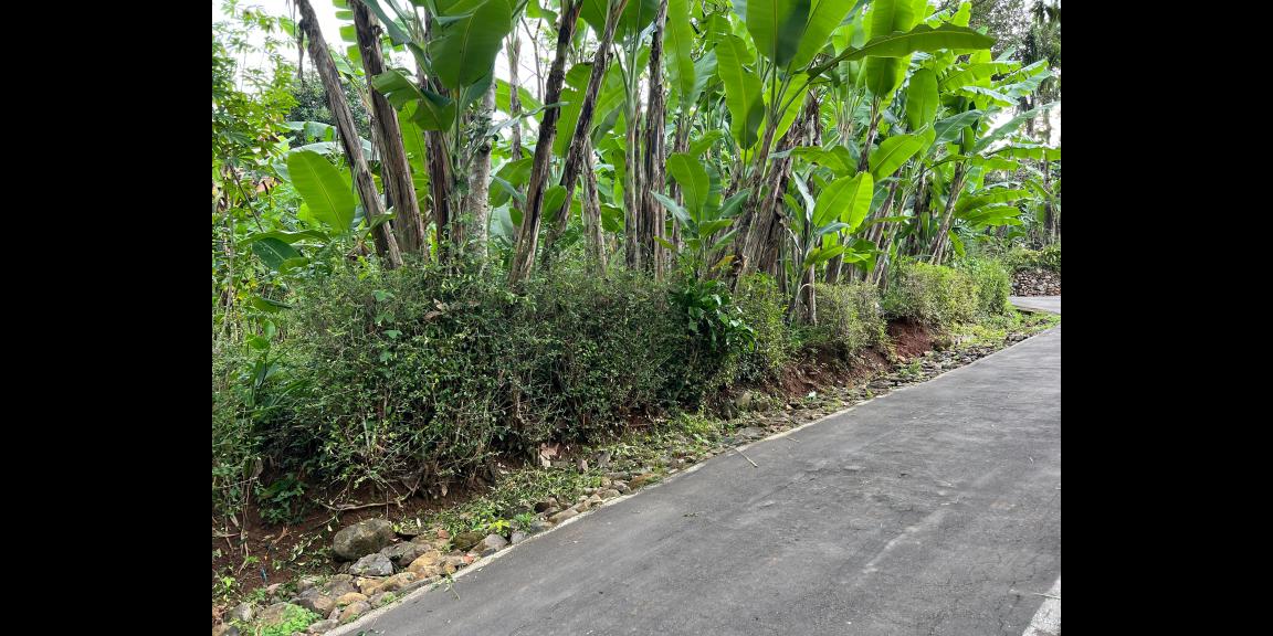 Tanah Datar 625m Hanya 150Jt  Kerjo Karanganyar  Tanah Datar 625m Hanya 150Jt  Kerjo Karanganyar