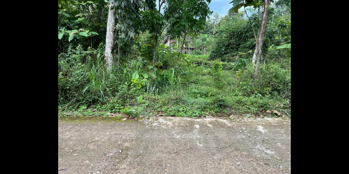 Tanah Siap Bangun 1986m² Kerjo Karanganyar   Tanah Siap Bangun 1986m² Kerjo Karanganyar