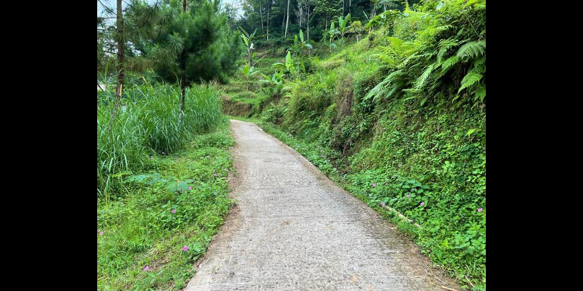 Tanah 350Jt Dekat Wisata Jembatan Kaca Kemuning Tanah 350Jt Dekat Wisata Jembatan Kaca Kemuning