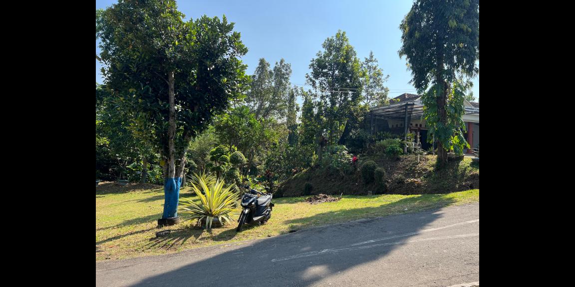 Kebun Durian Subur 1000m Kerjo, Karanganyar Kebun Durian Subur 1000m Kerjo, Karanganyar