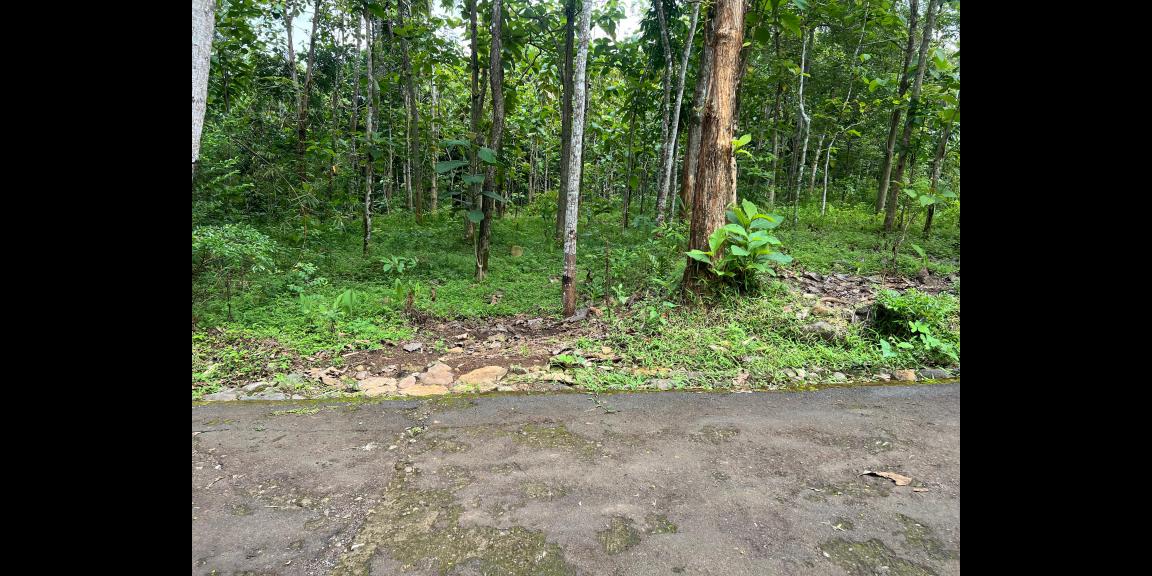 Tanah Datar 2293m² 300 Juta Karanganyar Tanah Datar 2293m² 300 Juta Karanganyar