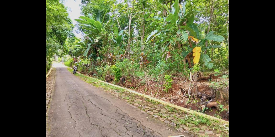 Tanah Datar 1000m² Siap Bangun Karanganyar Tanah Datar 1000m² Siap Bangun Karanganyar