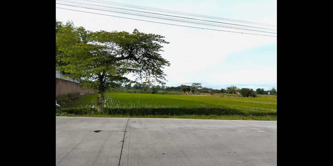 Tanah 4471m² Strategis Tepi Jl Raya Batujamus- Jambangan Solo Tanah 4471m² Strategis Tepi Jl Raya Batujamus- Jambangan Solo