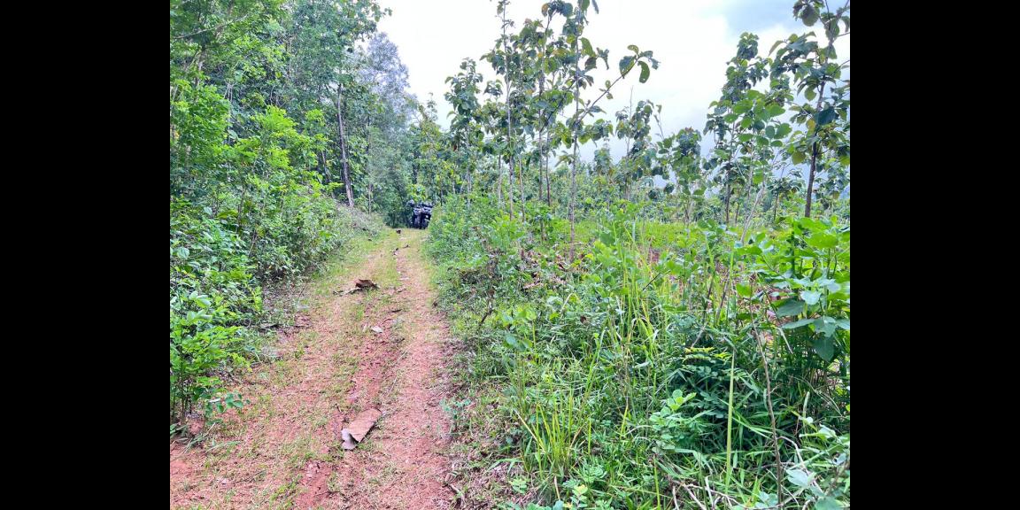 DIJUAL TANAH PEKARANGAN 1 HEKTAR – SAMBIREJO, SRAGEN–SOLO DIJUAL TANAH PEKARANGAN 1 HEKTAR – SAMBIREJO, SRAGEN–SOLO