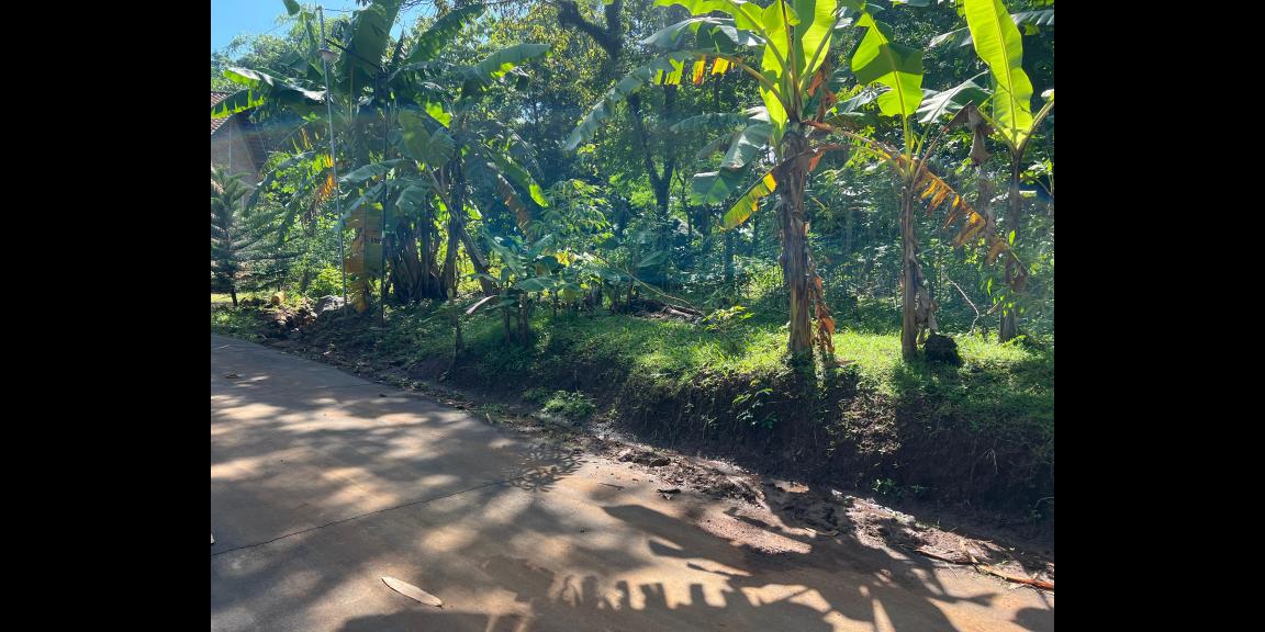Tanah Datar 400m Utara Kantor Kecamatan Kerjo Tanah Datar 400m Utara Kantor Kecamatan Kerjo