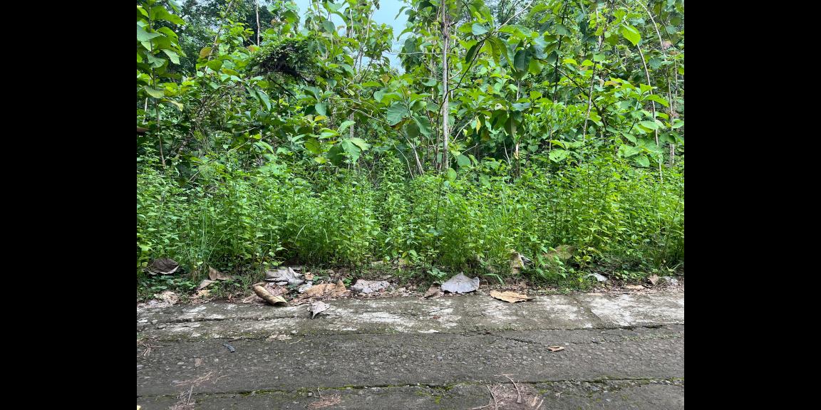 Tanah Hook 1175m Siap Bangun Sambirejo Sragen Tanah Hook 1175m Siap Bangun Sambirejo Sragen