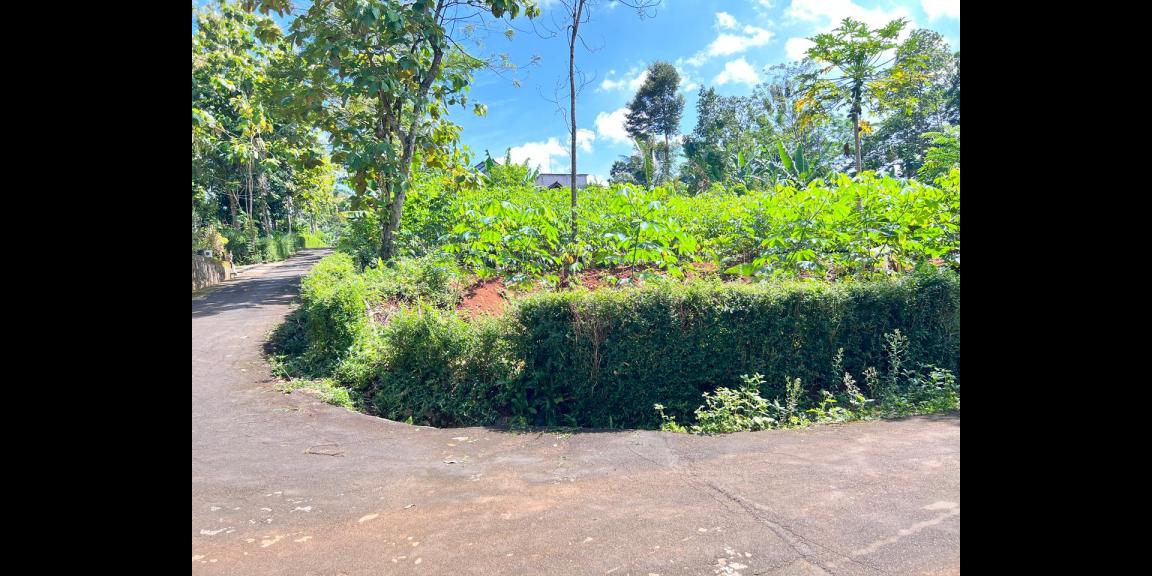 Tanah Strategis 794m Utara Pasar Mojogedang Karanganyar Tanah Strategis 794m Utara Pasar Mojogedang Karanganyar