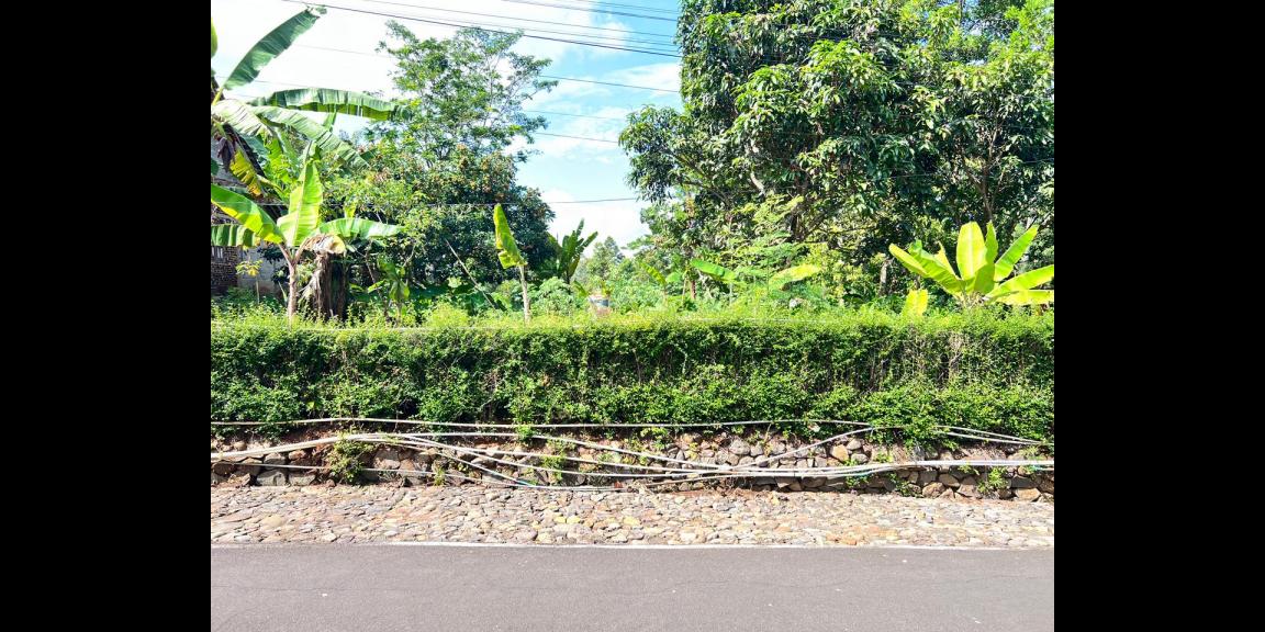 Tanah 800m² Cocok untuk Rumah Tinggal Karanganyar Tanah 800m² Cocok untuk Rumah Tinggal Karanganyar