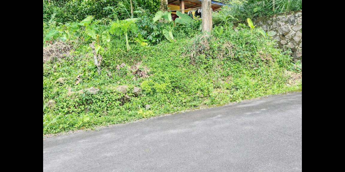 Tanah Investasi 400m2 Karangpandan Karanganyar Tanah Investasi 400m2 Karangpandan Karanganyar