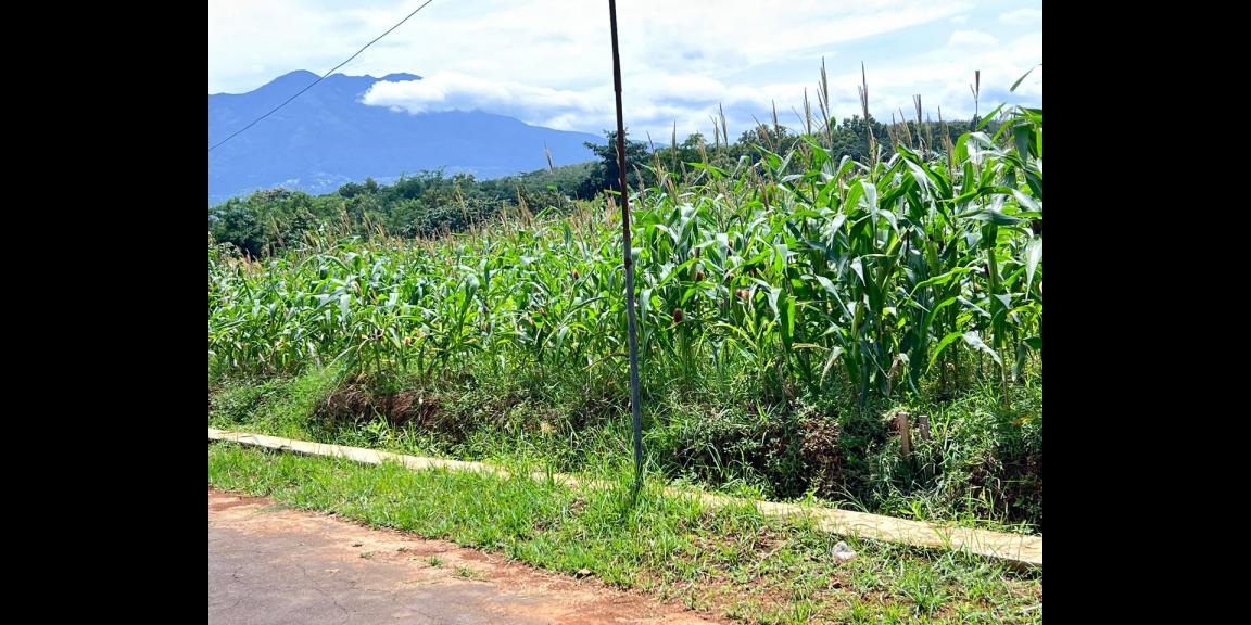Tanah View Gunung Lawu 8000m Kerjo Karanganyar Utara Tanah View Gunung Lawu 8000m Kerjo Karanganyar Utara