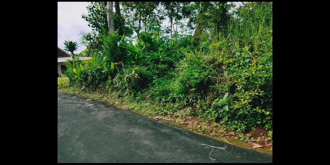 Tanah Siap Dibangun Wisata Alam Karangpandan Karanganyar Tanah Siap Dibangun Wisata Alam Karangpandan Karanganyar