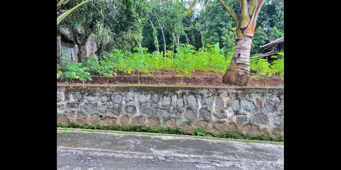 Tanah Datar 600m² Cocok Dibangun Rumah Tinggal Tanah Datar 600m² Cocok Dibangun Rumah Tinggal