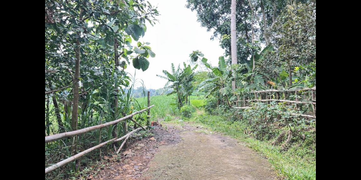 Tanah 6000m² Cocok Untuk Peternakan Karanganyar Tanah 6000m² Cocok Untuk Peternakan Karanganyar