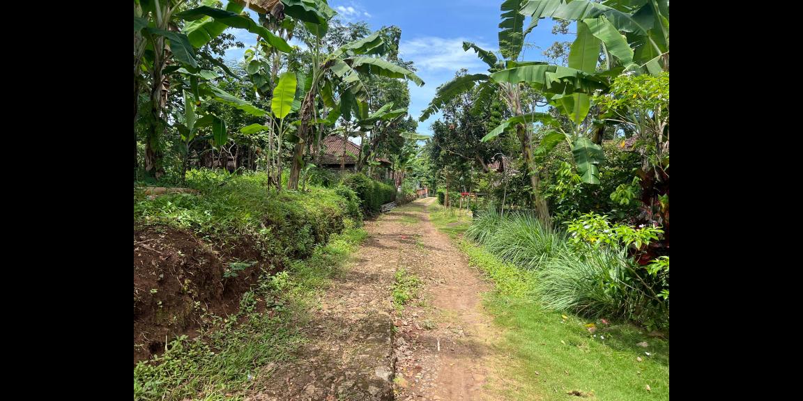 Tanah Datar 3600m² Udara Sejuk Karanganyar Tanah Datar 3600m² Udara Sejuk Karanganyar