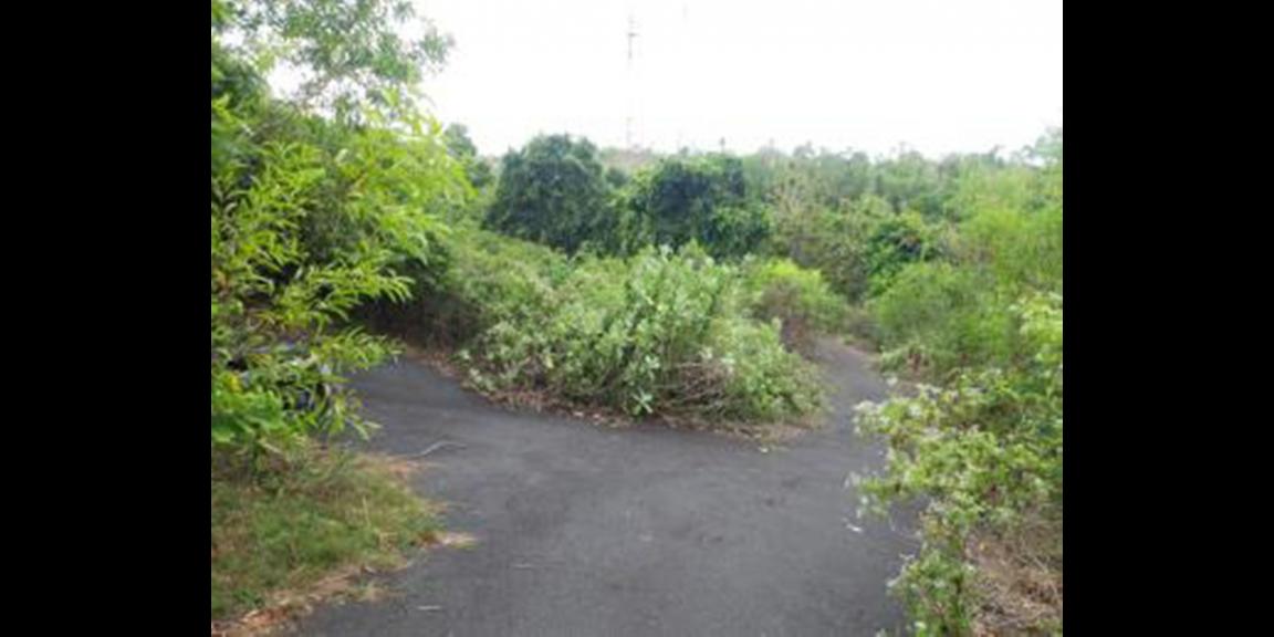 Jual Tanah Murah di Jalan Goa Gong Ungasan Bali Jual Tanah Murah di Jalan Goa Gong Ungasan Bali