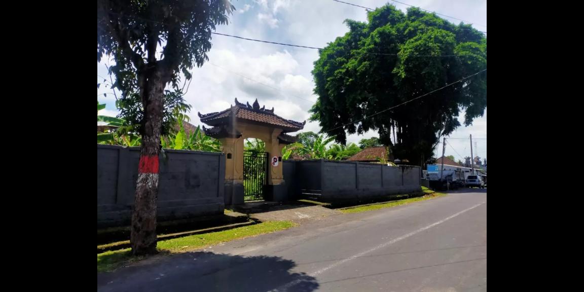 Tanah Murah di Jalan Gede Desa Daerah Mengwi Bali Tanah Murah di Jalan Gede Desa Daerah Mengwi Bali