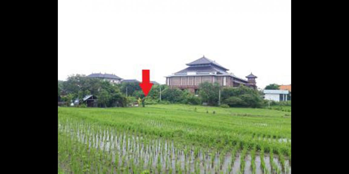 Tanah Murah di Jalan Arjuna Daerah Kuta Utara Bali Tanah Murah di Jalan Arjuna Daerah Kuta Utara Bali