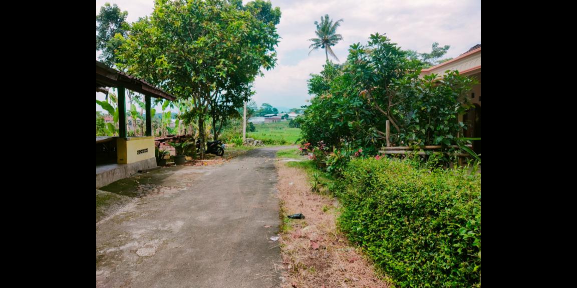 Tanah Datar Cocok dibangun Rumah Tinggal Mojogedang Tanah Datar Cocok dibangun Rumah Tinggal Mojogedang