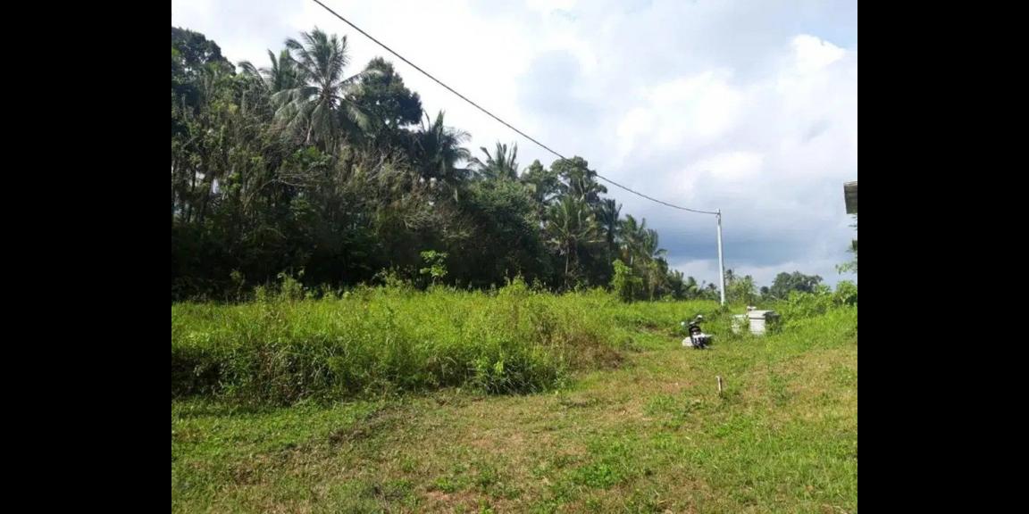 Jual Tanah Kavling Jalan Wisnu Marga Tabanan Murah Jual Tanah Kavling Jalan Wisnu Marga Tabanan Murah