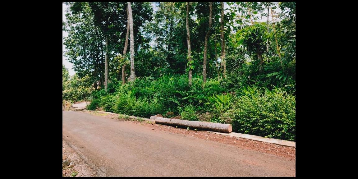Tanah Datar Tepi Jalan Siap Dibangun Selatan Pasar Mojogedang Kra Tanah Datar Tepi Jalan Siap Dibangun Selatan Pasar Mojogedang Kra