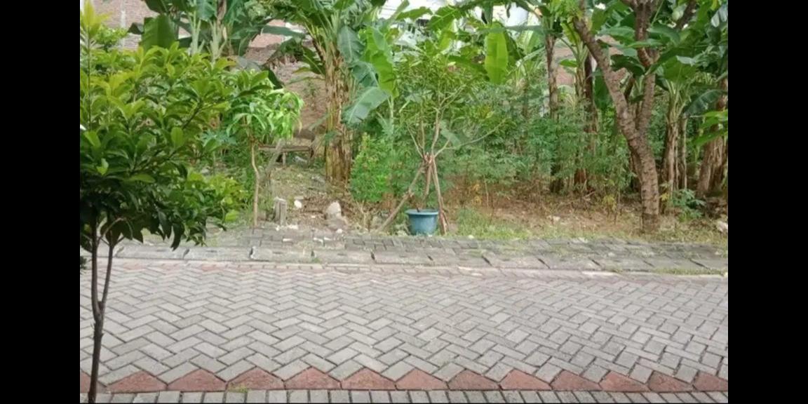 Tanah Daerah Sukolilo di Semampir Tengah Surabaya Tanah Daerah Sukolilo di Semampir Tengah Surabaya