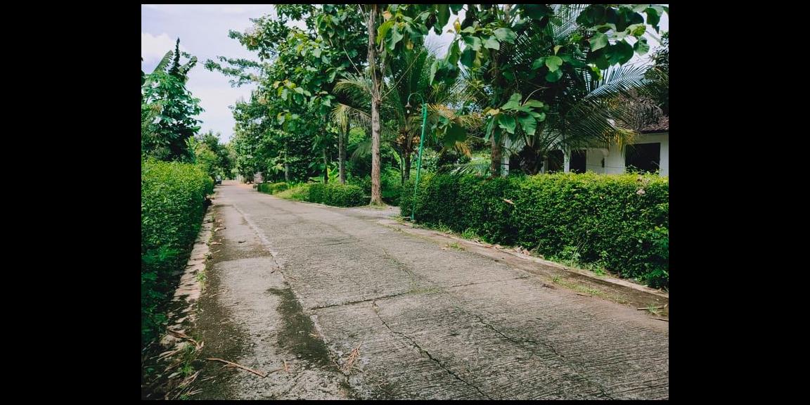 Tanah Subur 1685m² Selatan Pasar Mojogedang Karanganyar Tanah Subur 1685m² Selatan Pasar Mojogedang Karanganyar