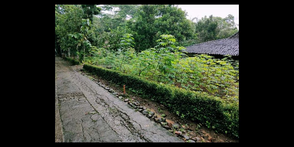 TANAH DATAR DI MOJOGEDANG KARANGANYAR TANAH DATAR DI MOJOGEDANG KARANGANYAR