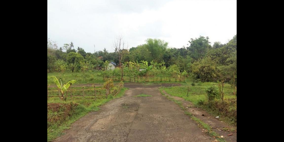 Tanah Kavling Murah Dekat Pantai Kaliasem Buleleng Tanah Kavling Murah Dekat Pantai Kaliasem Buleleng