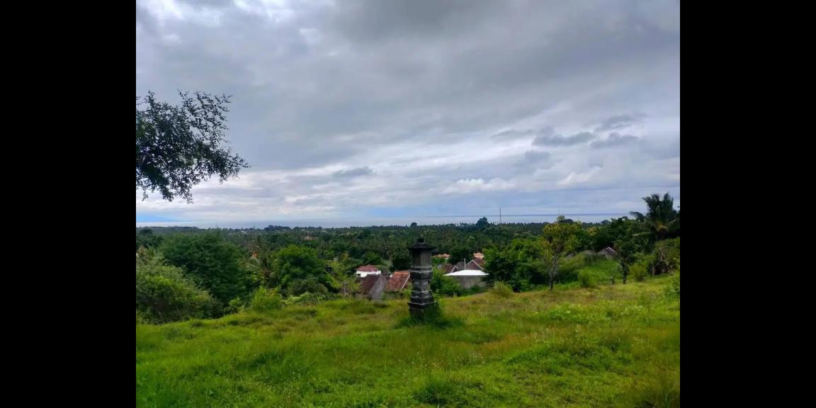 Tanah di Jalan Damai Daerah Kayu Putih Buleleng Tanah di Jalan Damai Daerah Kayu Putih Buleleng