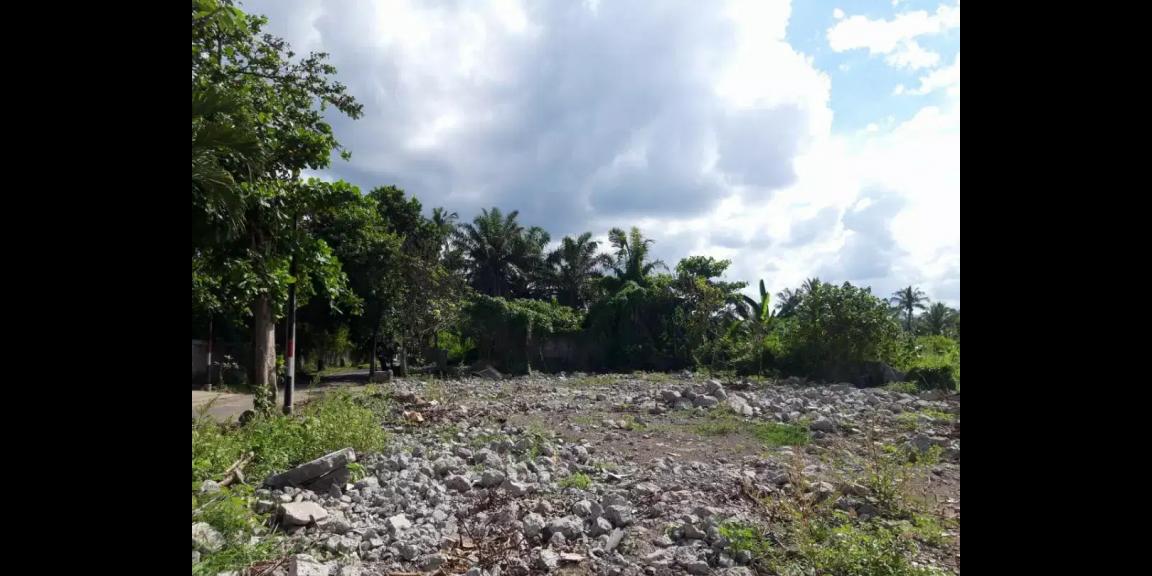 Jual Tanah Los Pantai Daerah Desa Negari Klungkung Jual Tanah Los Pantai Daerah Desa Negari Klungkung