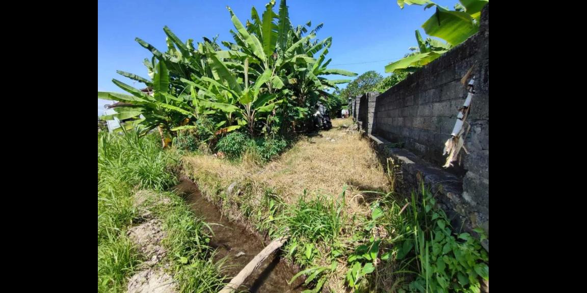 Jual Tanah Murah di Jalan Raya Takmung Klungkung Jual Tanah Murah di Jalan Raya Takmung Klungkung