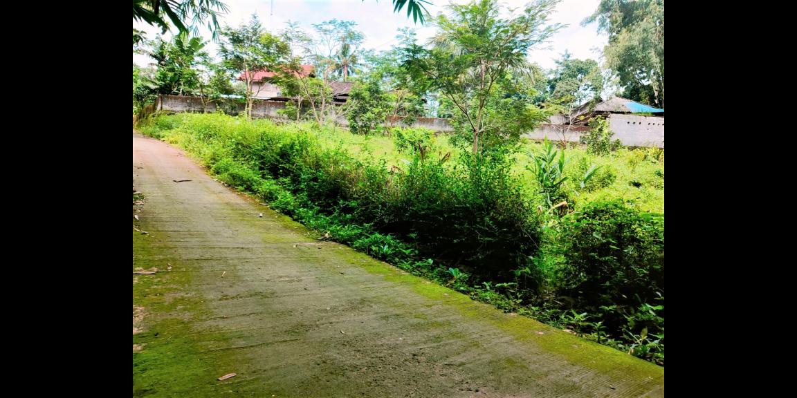 Tanah Kebun Buah Mojogedang Karanganyar Tanah Kebun Buah Mojogedang Karanganyar